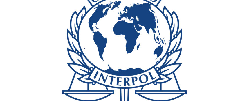 Stage all’Interpol – Francia