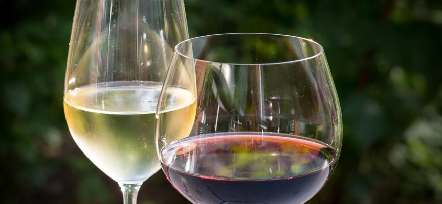 Destinazione Vino: viaggio alla scoperta del vino aretino