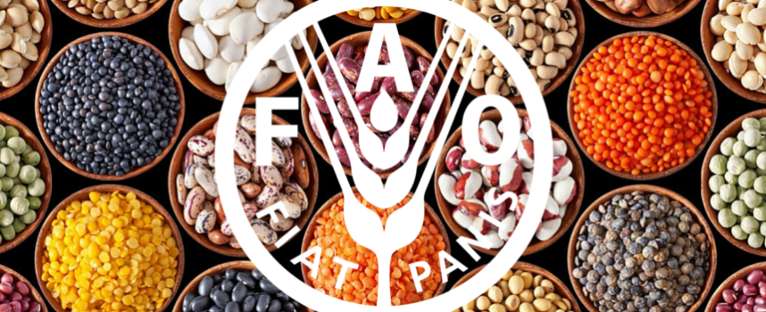 LAVORARE PER: FAO – Food and Agricolture Organization