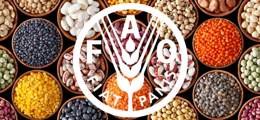 LAVORARE PER: FAO – Food and Agricolture Organization