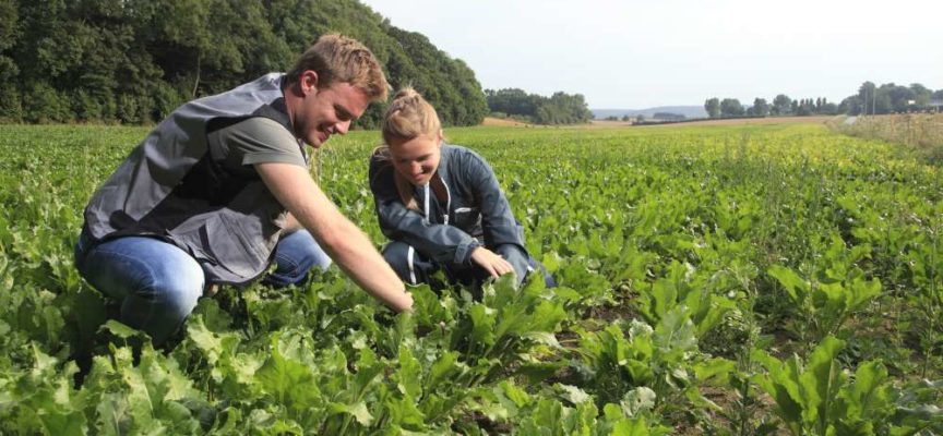 Giovanisì | Banca della Terra per giovani agricoltori