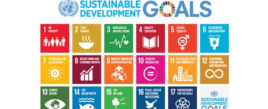 Bando: “Youth In Action for Sustainable Development Goals”