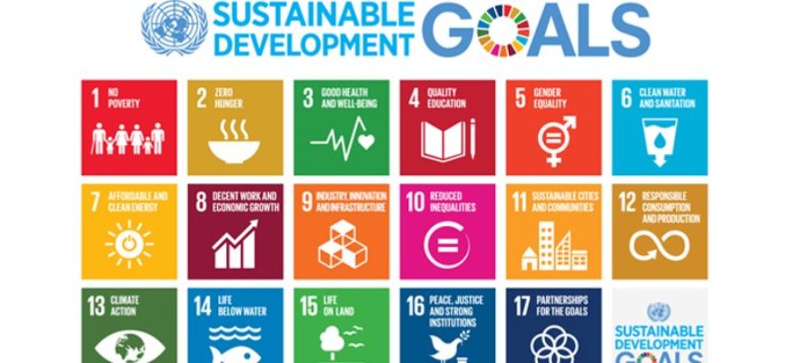 Bando: “Youth In Action for Sustainable Development Goals”