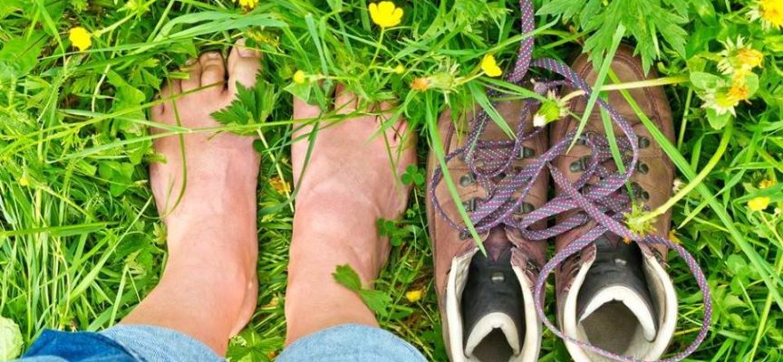 A piedi nudi nel parco: psicoecologia e prevenzione del burnout – seminario residenziale GRATUITO