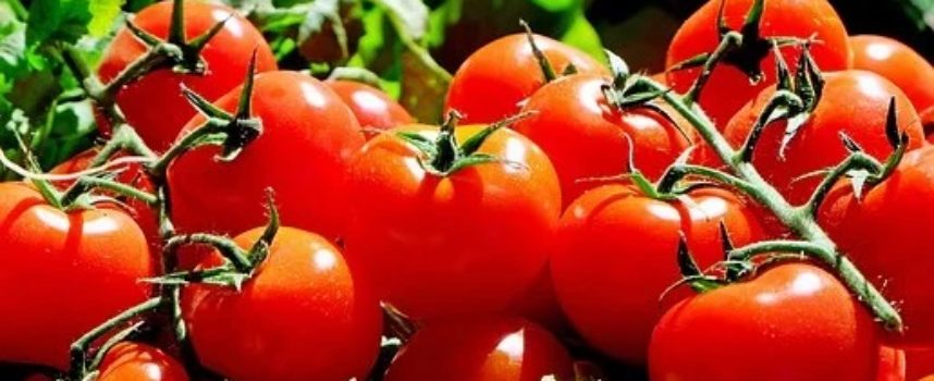 Comune di Arezzo: 25 aprile e 1° maggio niente commercio di generi alimentari in area pubblica