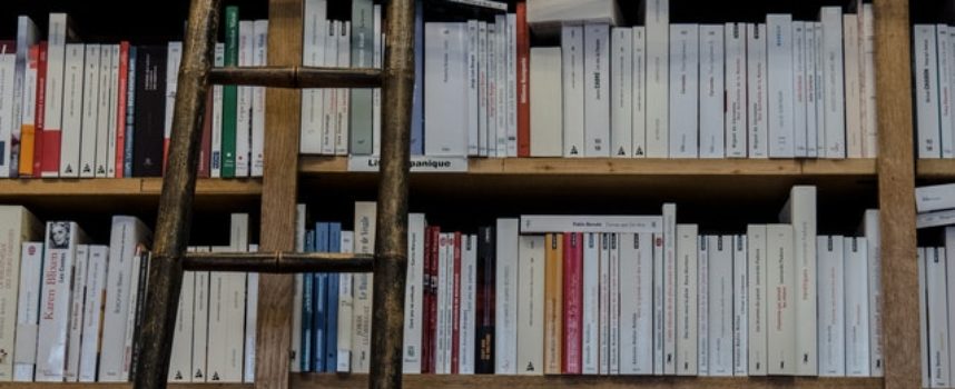 Mondadori: vari profili ricercati per le sedi di Milano, Venezia e Torino