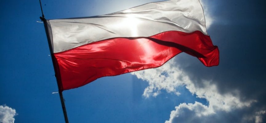 ESC in Polonia per 12 mesi con Moblity Opportunites Hub