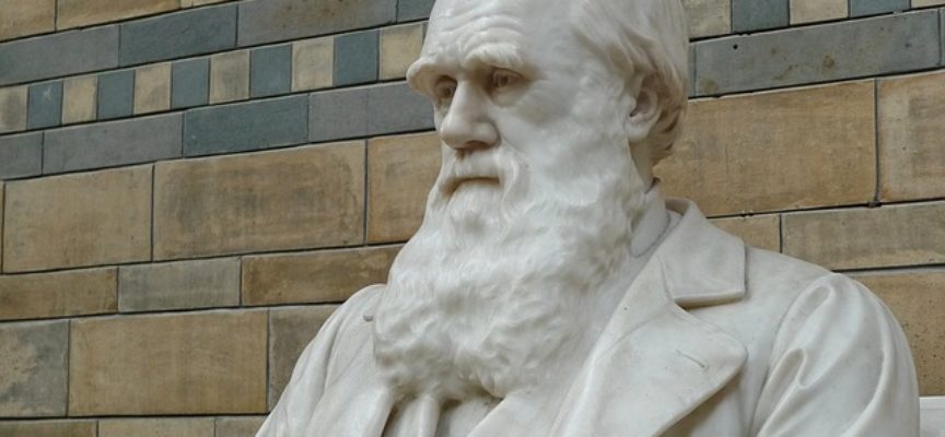 Darwin Day: UNISI omaggia il celebre scienziato con una serie di appuntamenti online