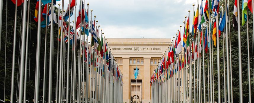 Stage all’Organizzazione mondiale per la proprietà intellettuale WIPO di Ginevra – Nuove scadenze