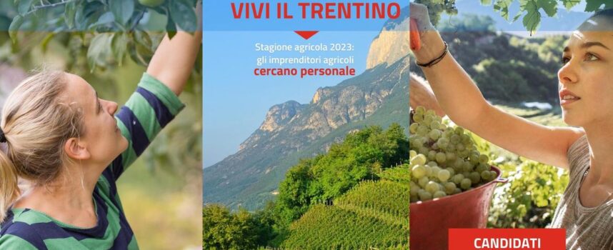 Il Trentino avvia la stagione agricola 2023: aperte le candidature per il lavoro nel periodo luglio-ottobre
